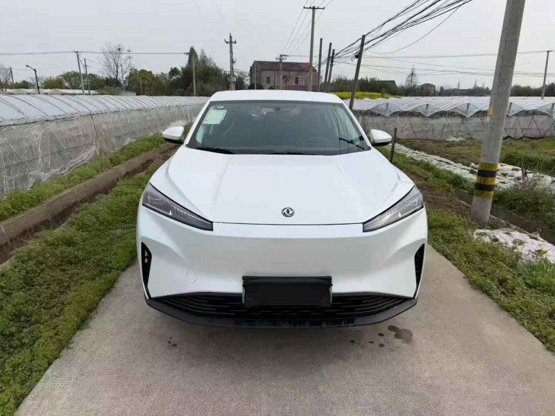 溫州26年東風風神1