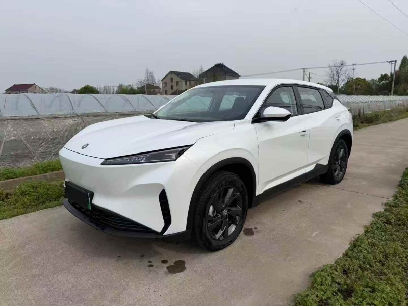 溫州26年東風風神2