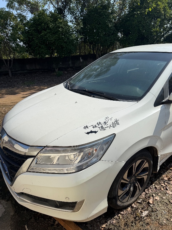 鄂州17年本田凌派4