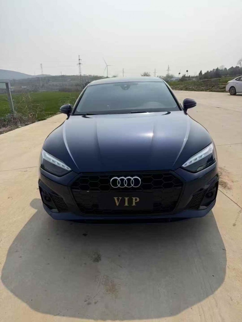 安庆22年奥迪A51