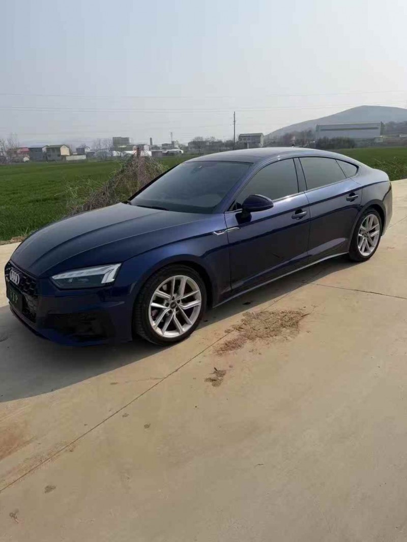 安庆22年奥迪A52