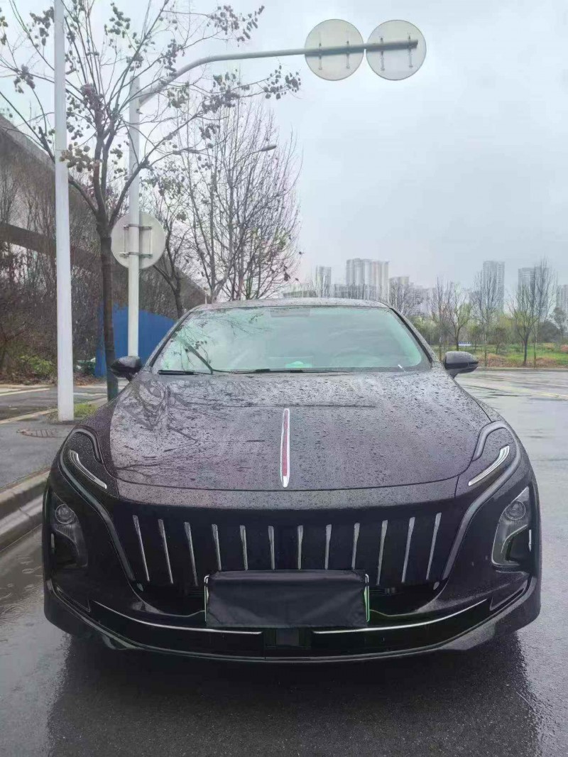 鄂州24年红旗E-QM51