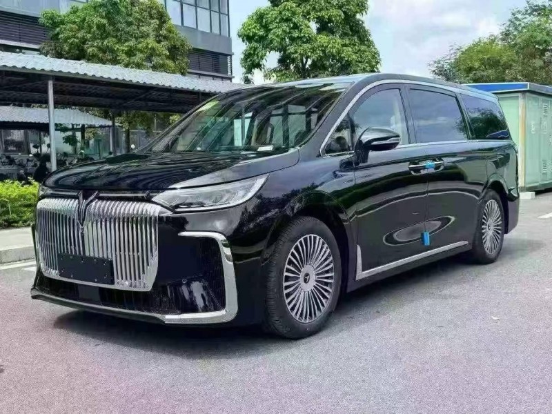 东莞25年岚图汽车梦想家2