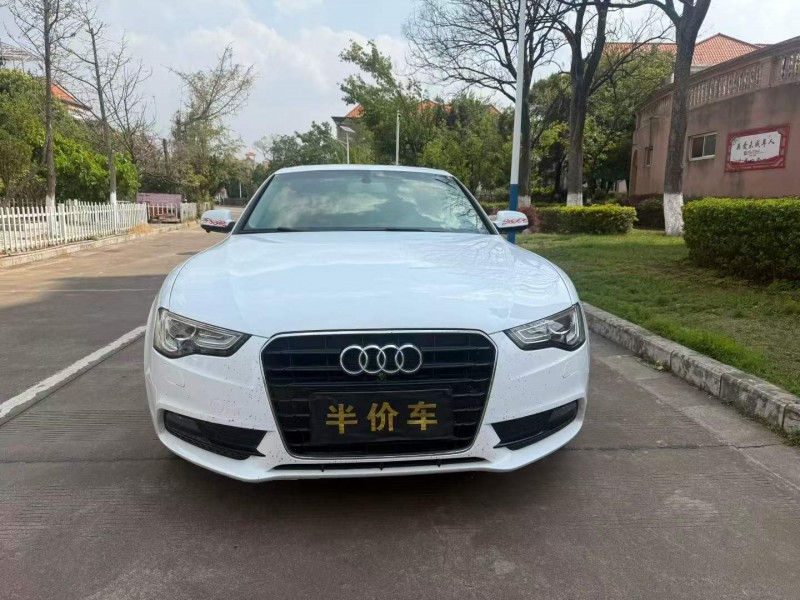 曲靖16年奥迪A51