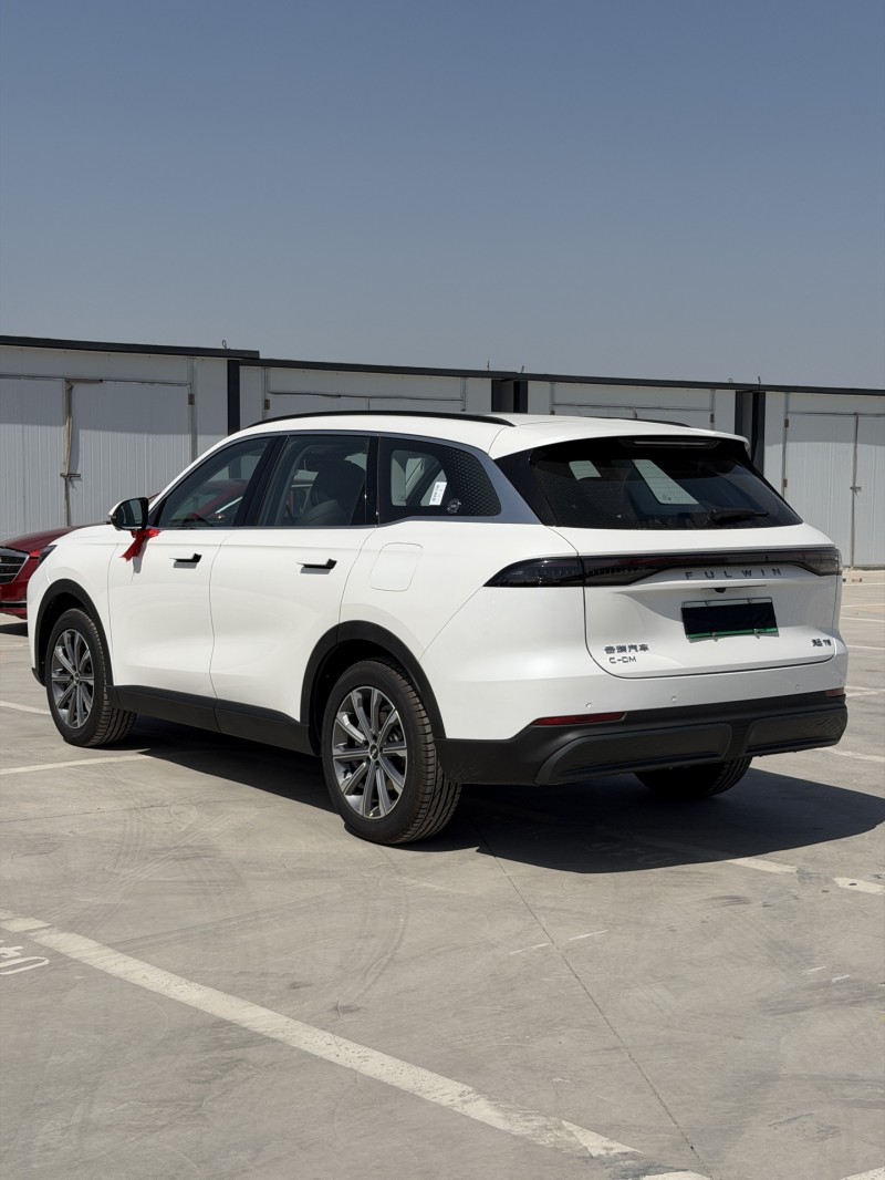 新乡26年奇瑞风云9