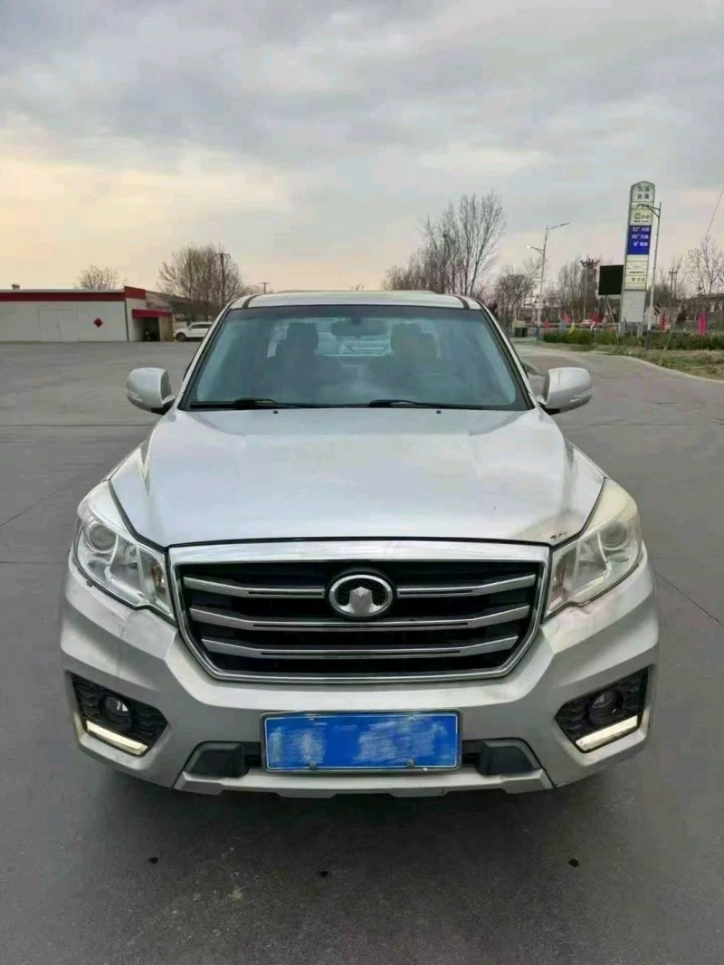 东营19年长城汽车风骏1