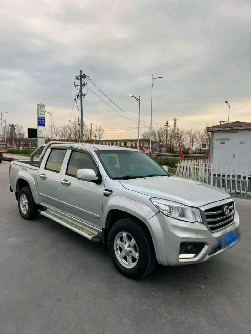 东营19年长城汽车风骏2