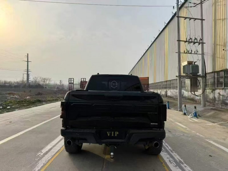 菏泽19年福特猛禽9