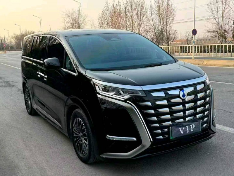 滨州24年腾势D92