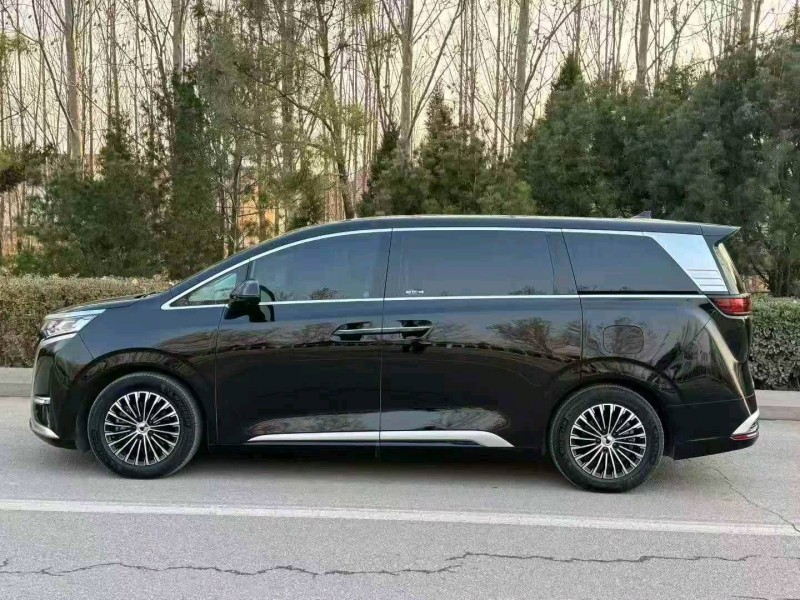 滨州24年腾势D93