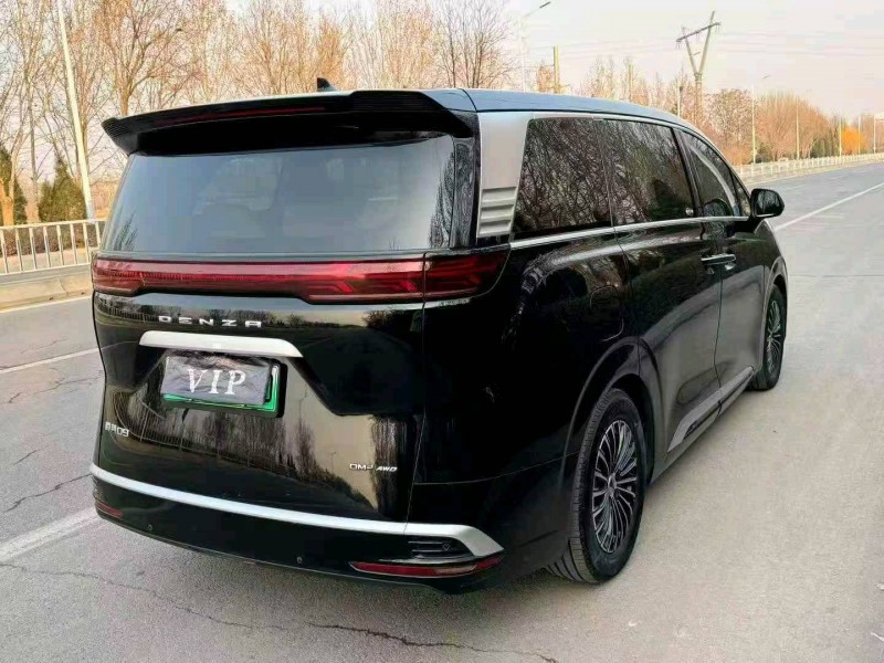 滨州24年腾势D94