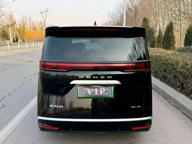 滨州24年腾势D96