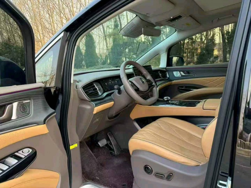 滨州24年腾势D97