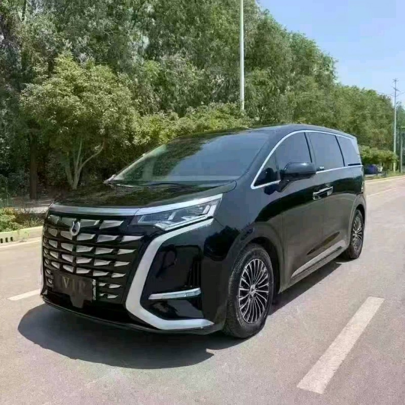 安阳24年腾势D93