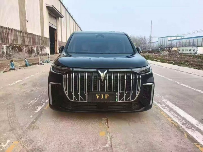 菏泽24年岚图汽车梦想家1