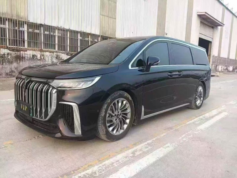 菏泽24年岚图汽车梦想家2