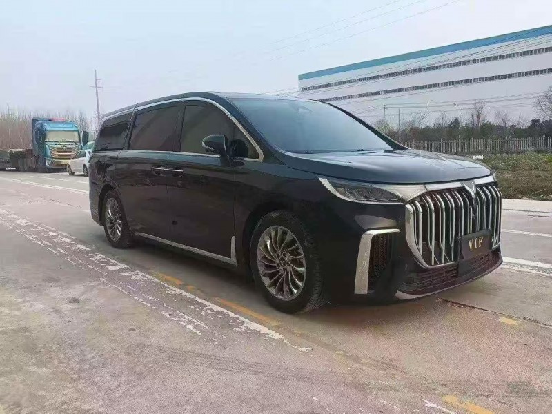 菏泽24年岚图汽车梦想家3