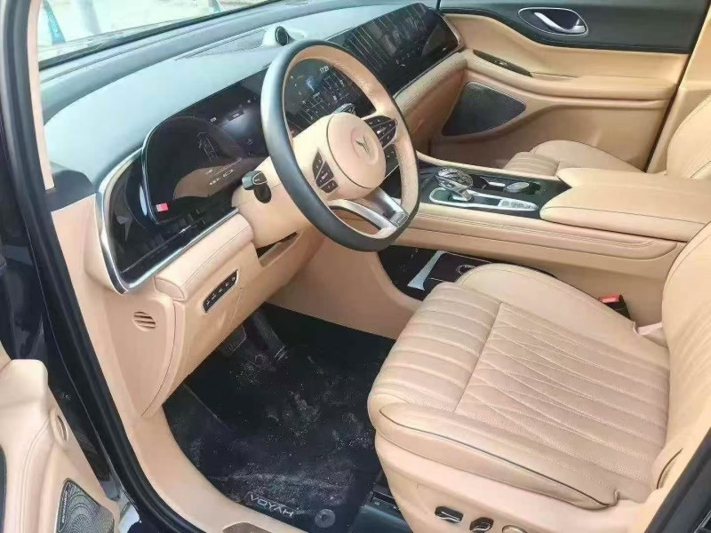 菏泽24年岚图汽车梦想家4