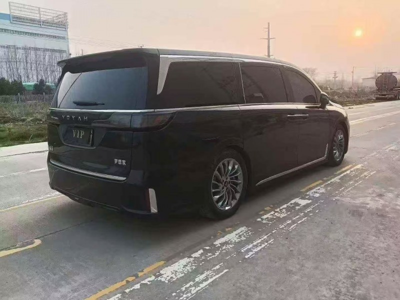 菏泽24年岚图汽车梦想家8