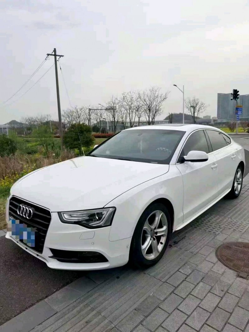 南宁15年奥迪A52