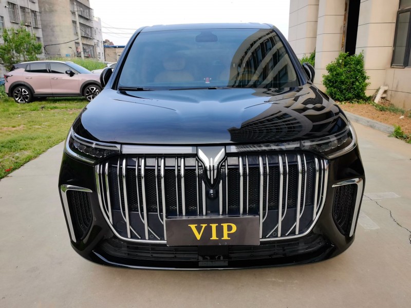 襄阳24年岚图汽车梦想家1