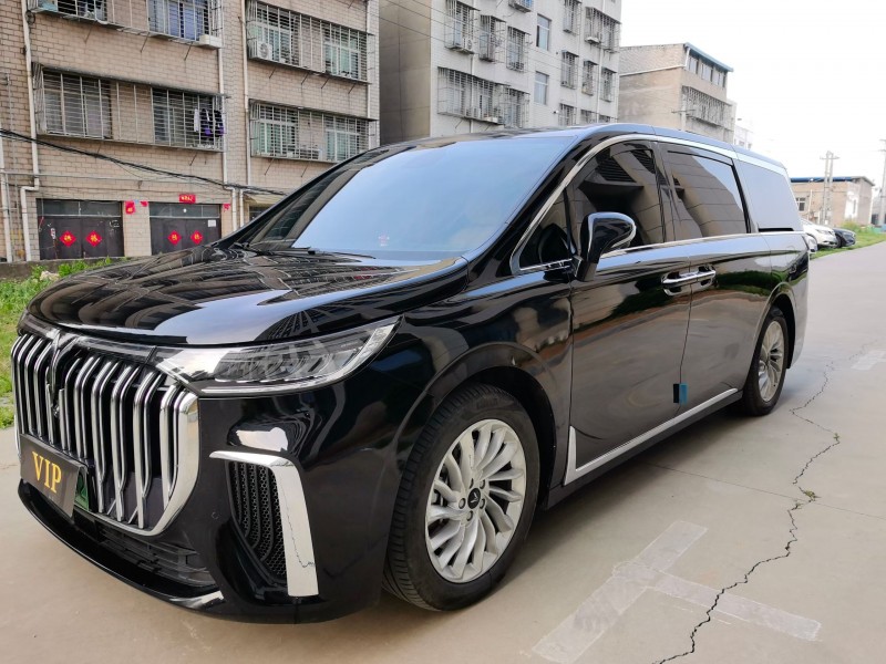 襄阳24年岚图汽车梦想家2