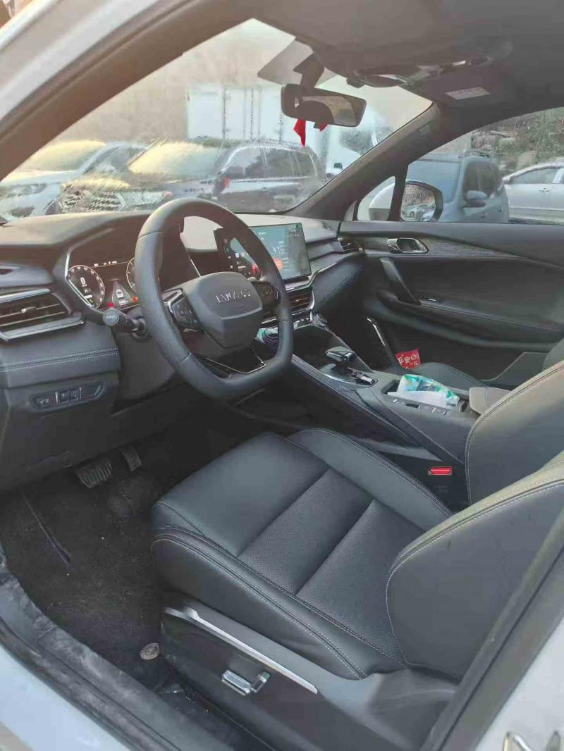 张家界24年领克063