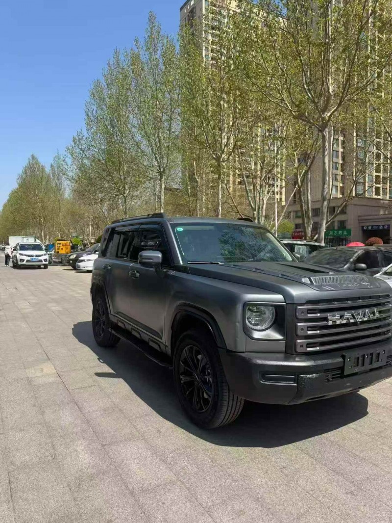 济宁25年哈弗大狗3