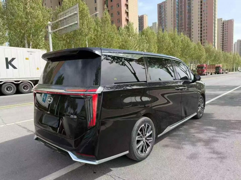 安阳23年传祺M8/GM87