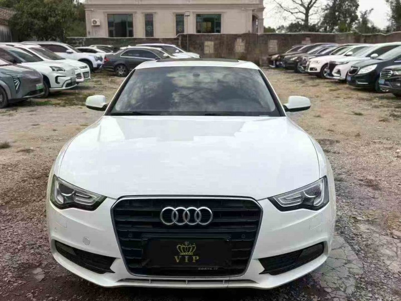 江门16年奥迪A51