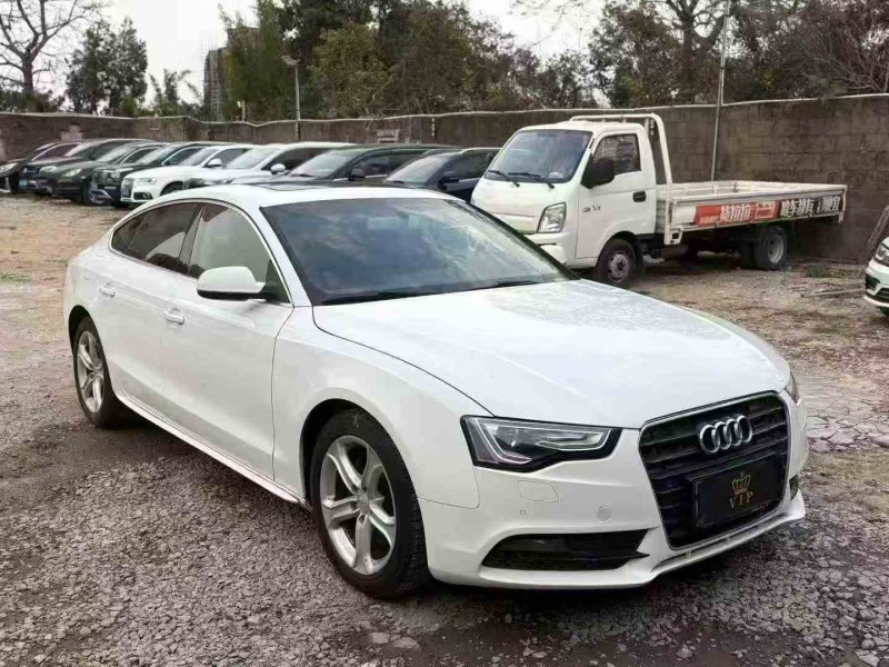 江门16年奥迪A53