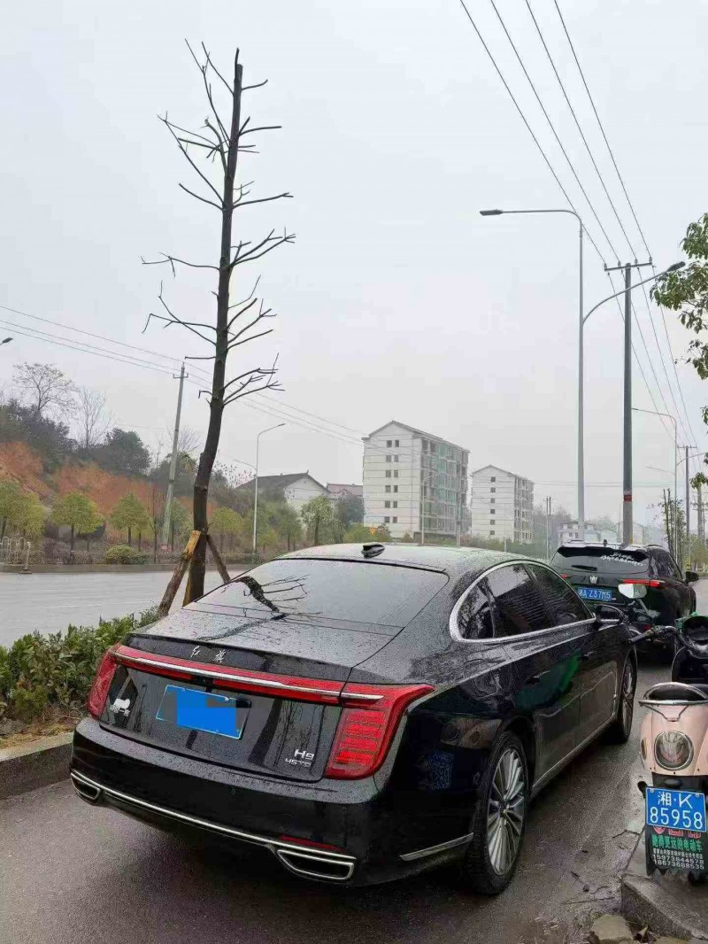 永州23年红旗H98