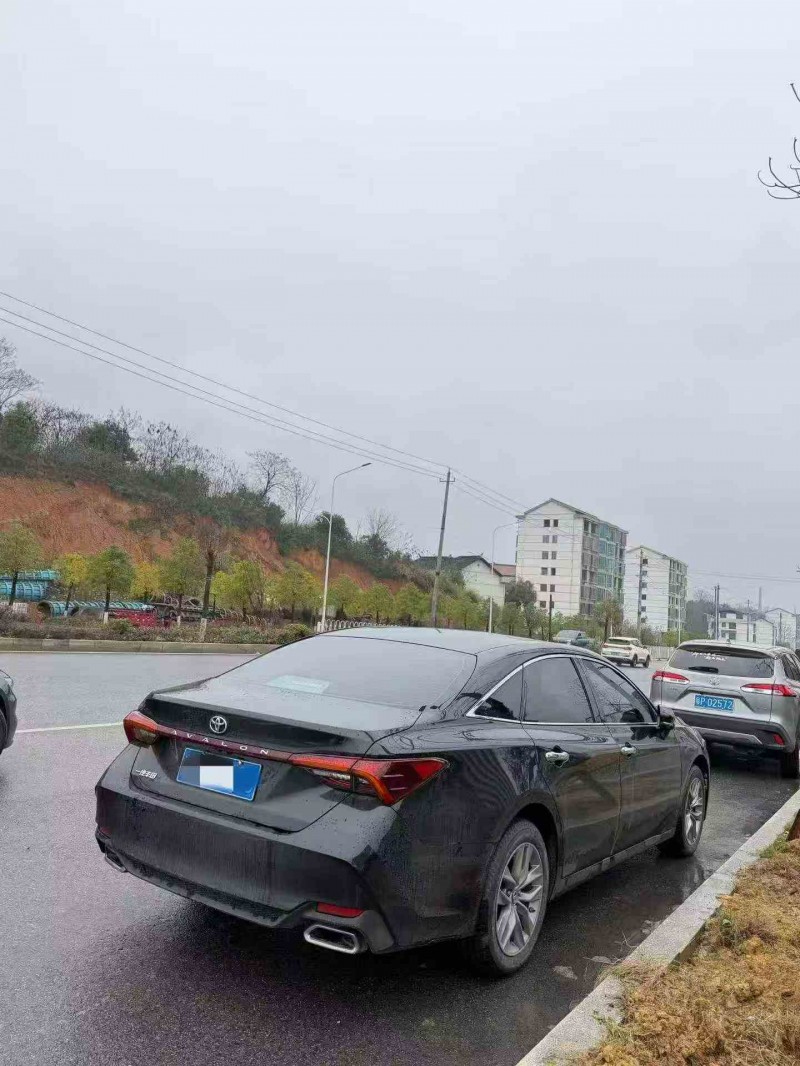 衡阳22年丰田亚洲龙9