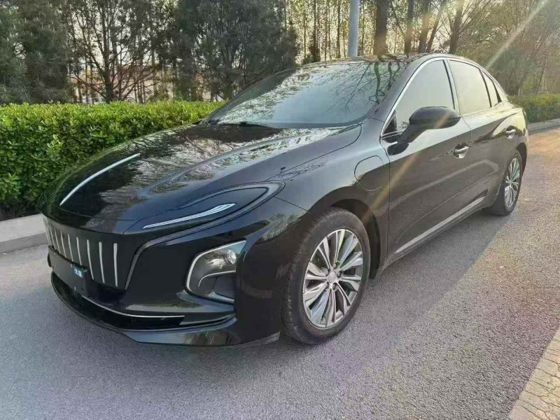 潍坊23年红旗E-QM53