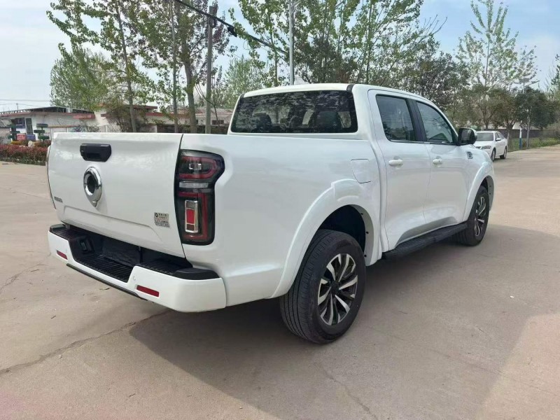 徐州25年长城汽车炮 皮卡8