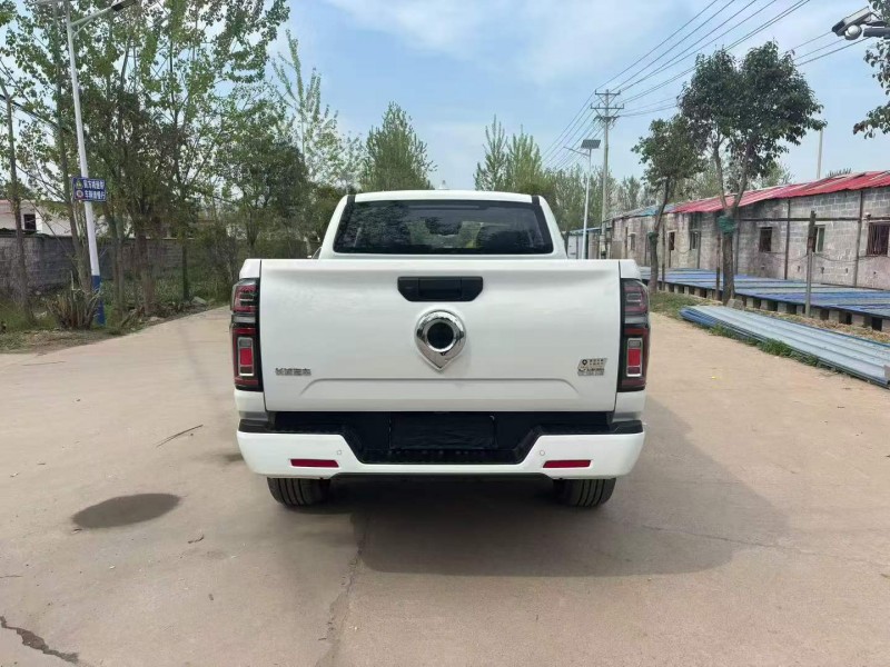 徐州25年长城汽车炮 皮卡9