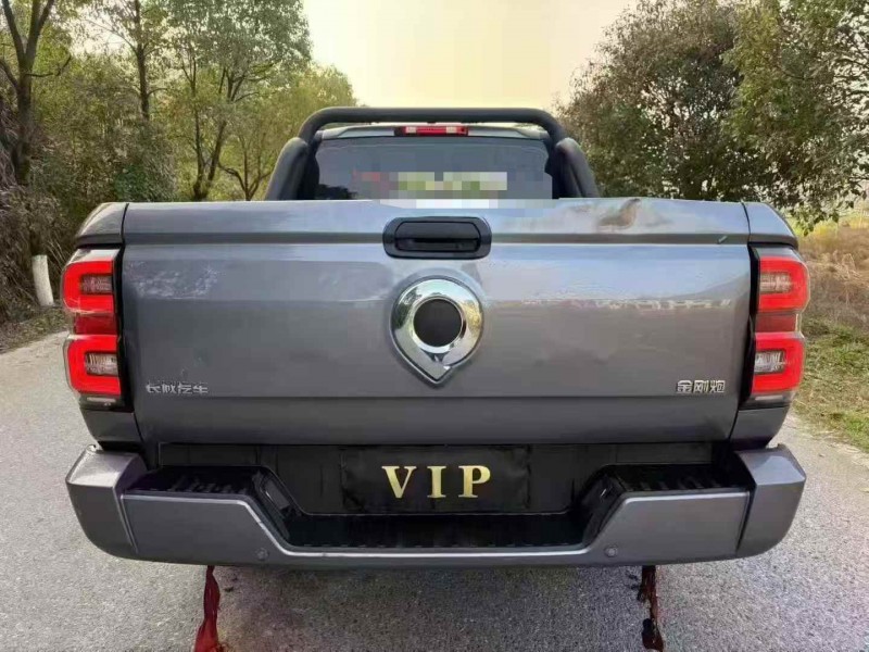 苏州25年长城汽车炮 皮卡9