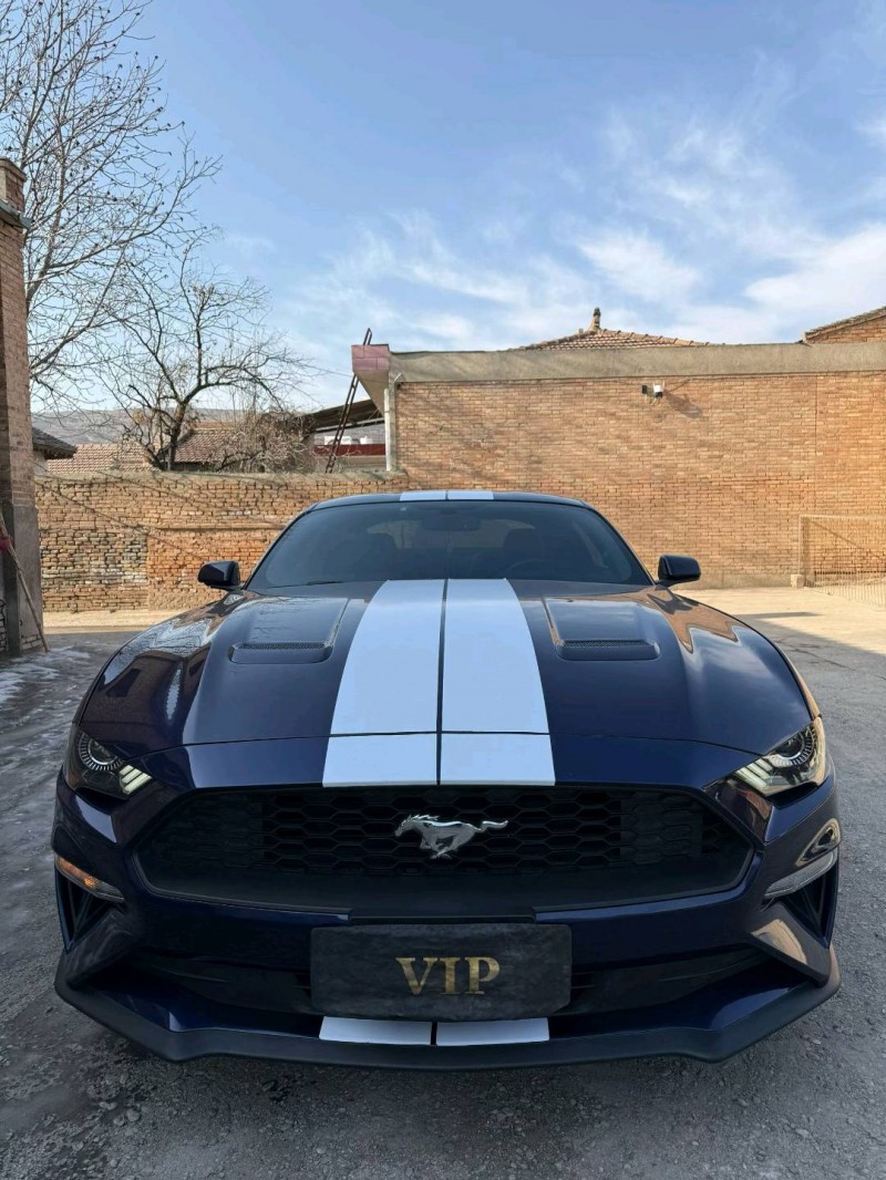 张掖19年福特野马1