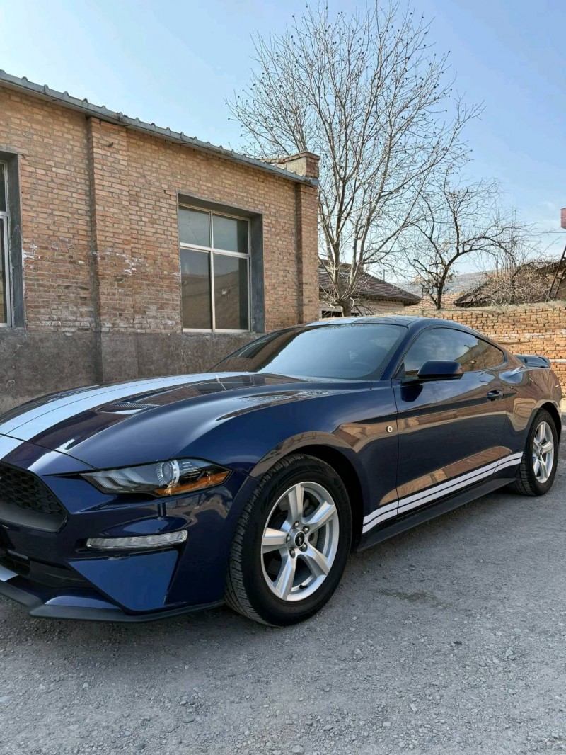 张掖19年福特野马3