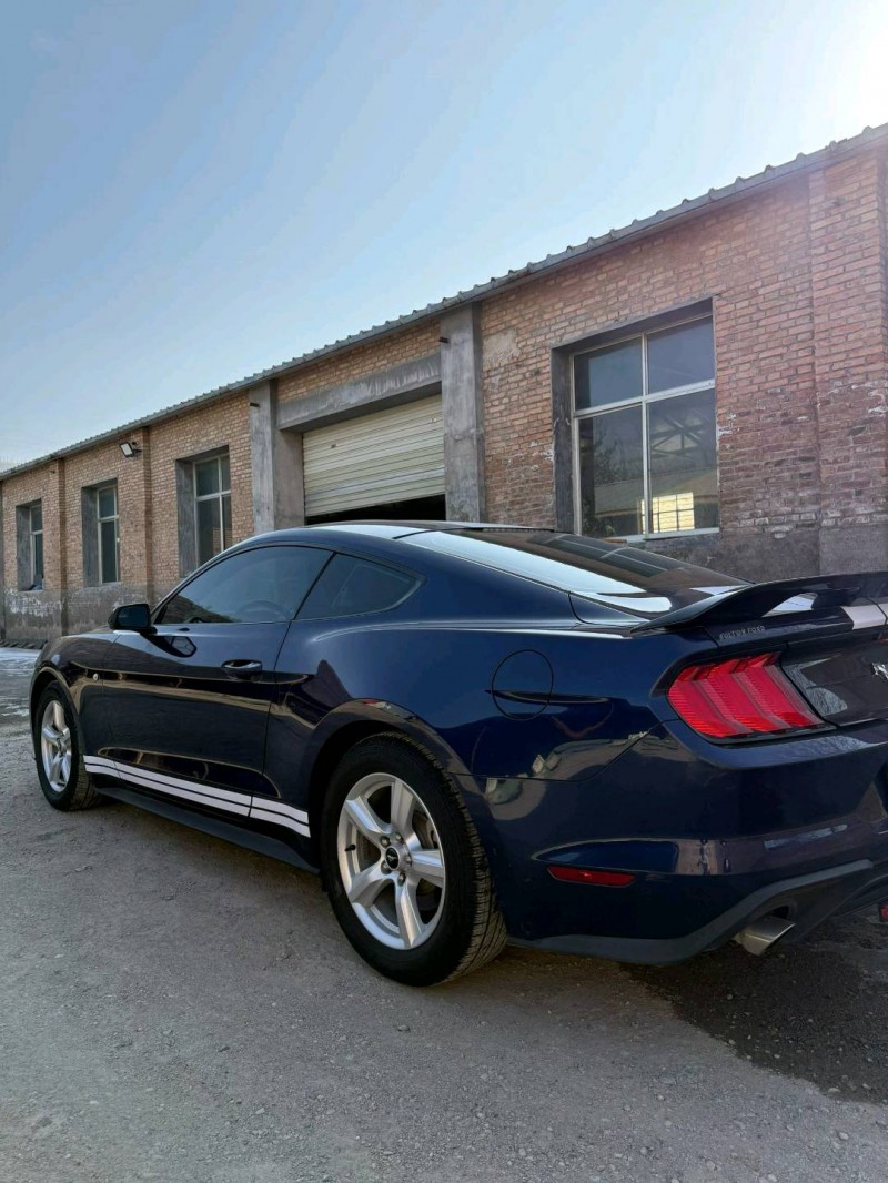 张掖19年福特野马7