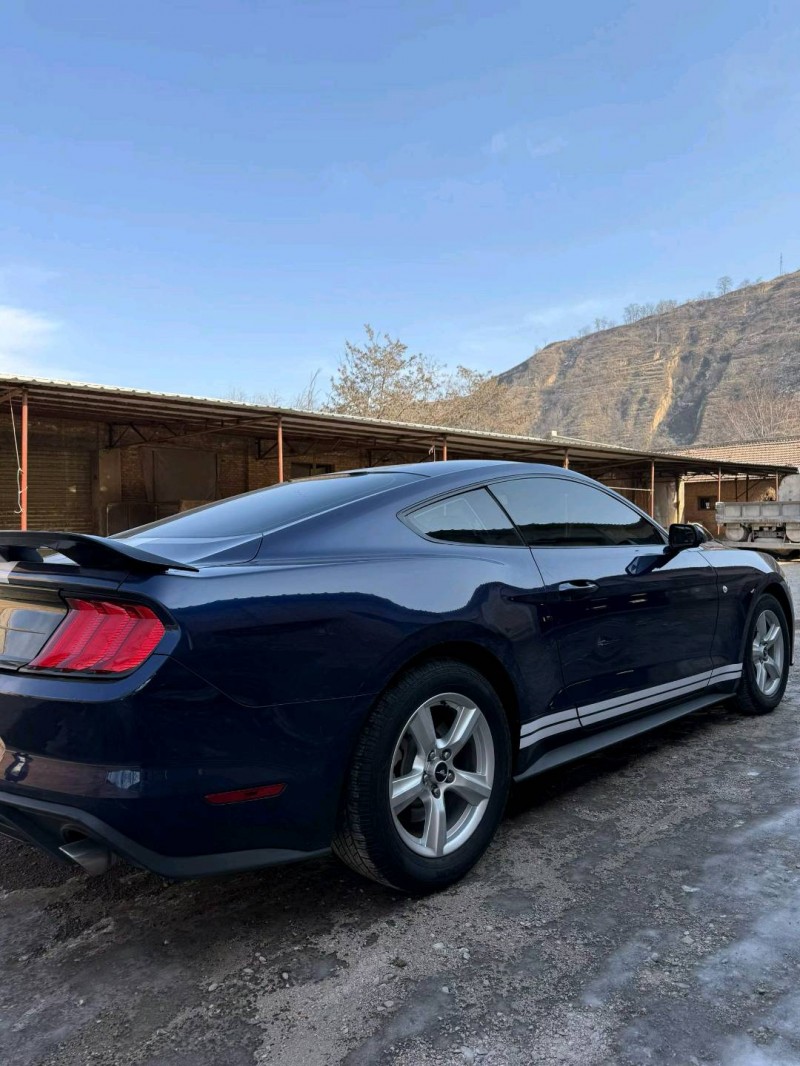 张掖19年福特野马8