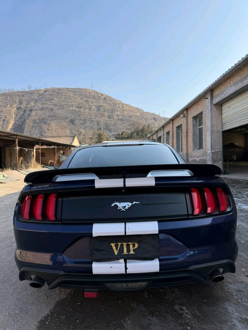 张掖19年福特野马9