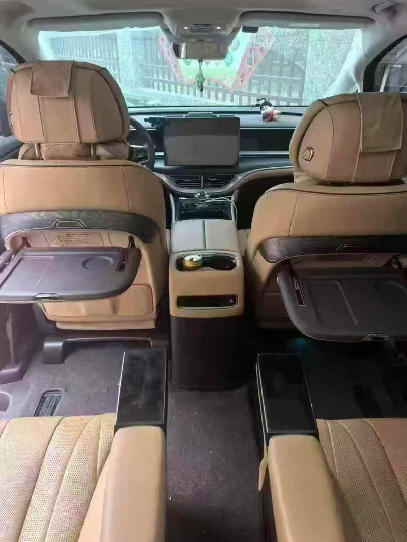 安阳24年腾势D95