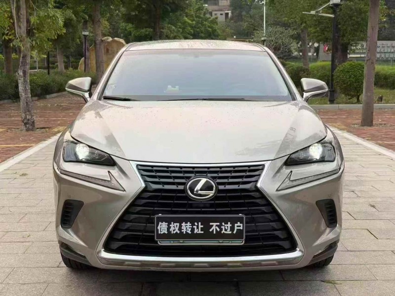 珠海19年雷克萨斯NX1