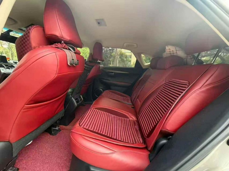 珠海19年雷克萨斯NX6