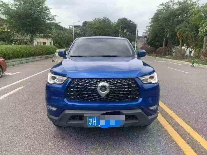 湛江21年长城汽车炮 皮卡1