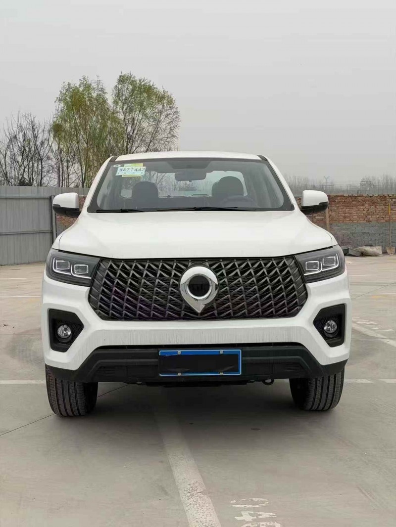 平顶山26年长城汽车炮 皮卡1