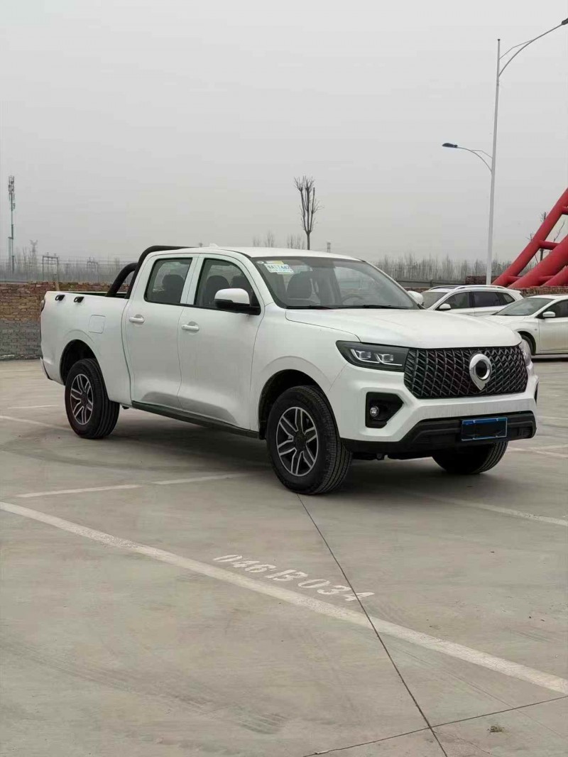 平顶山26年长城汽车炮 皮卡2