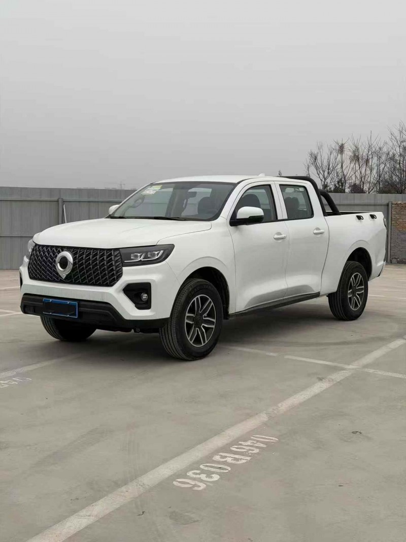 平顶山26年长城汽车炮 皮卡3