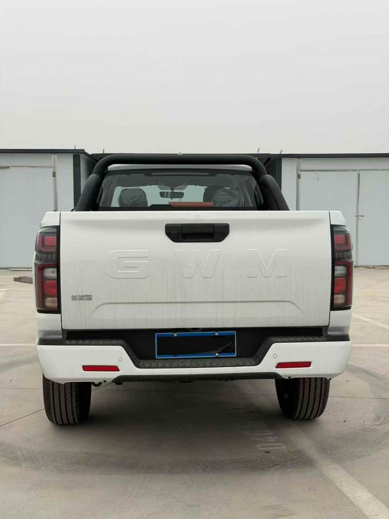 平顶山26年长城汽车炮 皮卡6